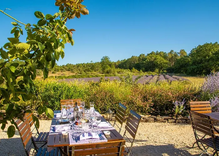Domaine Du Frigoulet